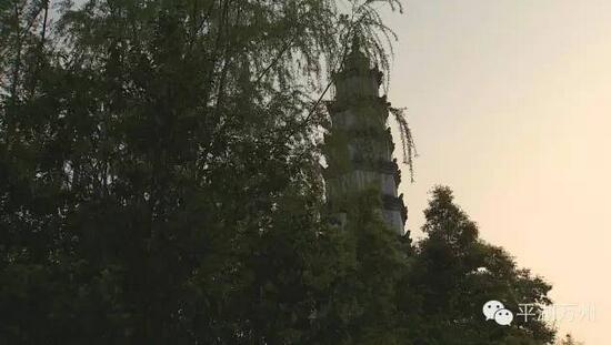 热烈祝贺:南山公园获得了规划类一等奖!